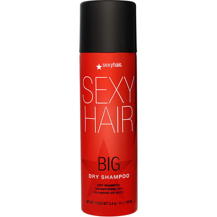 Big Sexy Hair Dry Shampoo 3.4 Oz