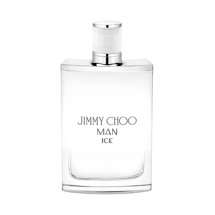 Jimmy Choo Man Ice Eau de Toilette 30ml Spray, 30 ml for Men