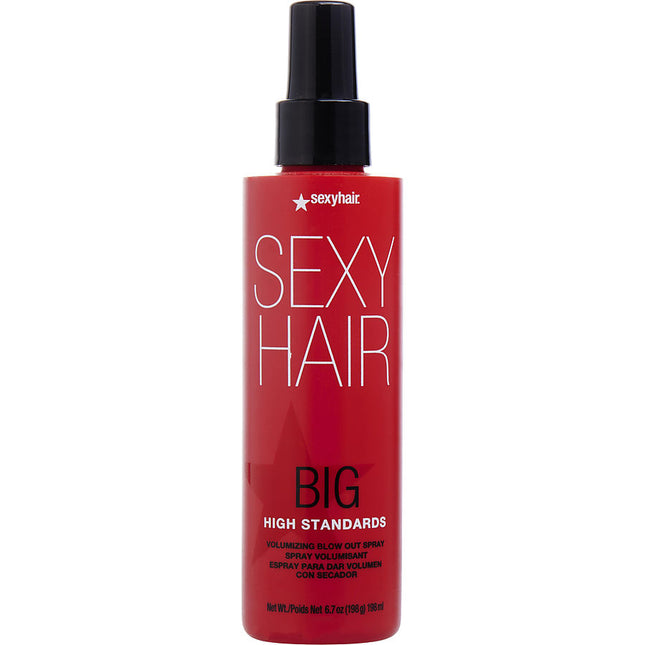 Big High Standards Volumizing Blow Out Spray 6.8 Oz