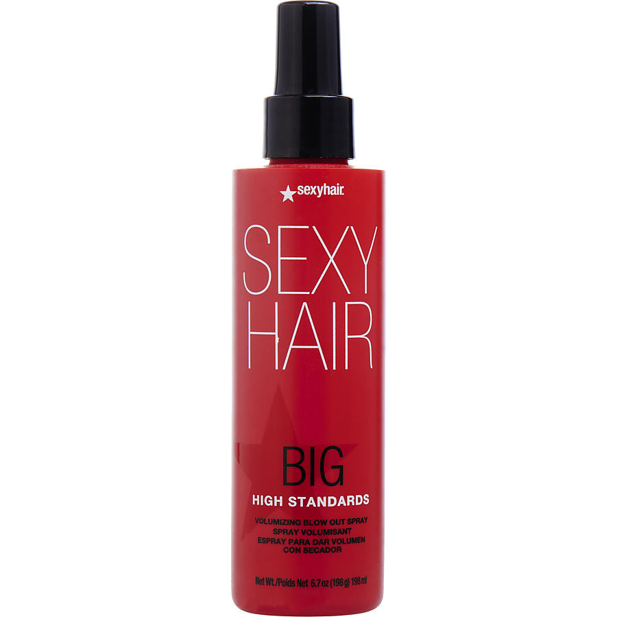 Big High Standards Volumizing Blow Out Spray 6.8 Oz Sexy Hair Concepts