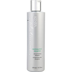 Platinum Restorative Shampoo 8.5 Oz Kenra