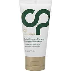 Baobab Recovery Shampoo 1.7 Oz