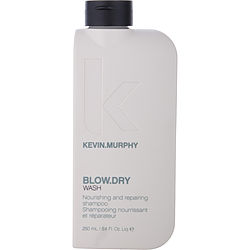 Blow Dry Wash 8.4 Oz Kevin Murphy
