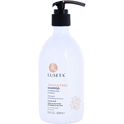 Tangle Free Argan Oil Shampoo 16.9 Oz Luseta