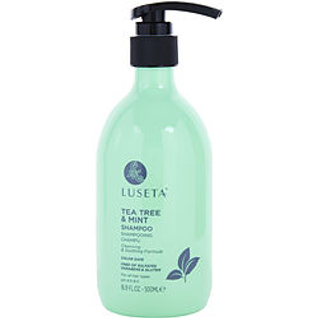 Tea Tree & Mint Shampoo 16.9 Oz