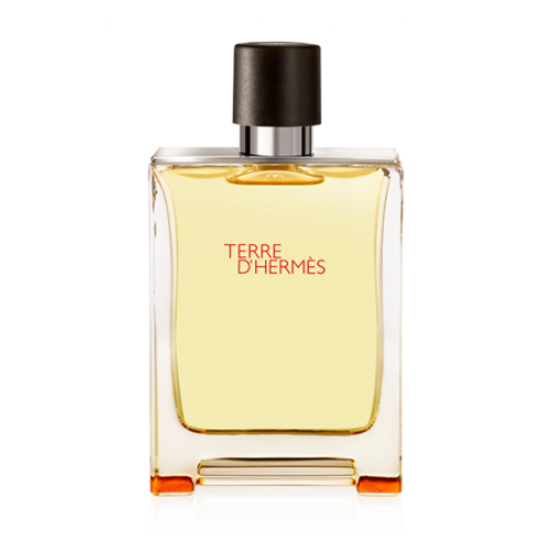 Terre D'Hermes Eau de Toilette for Men