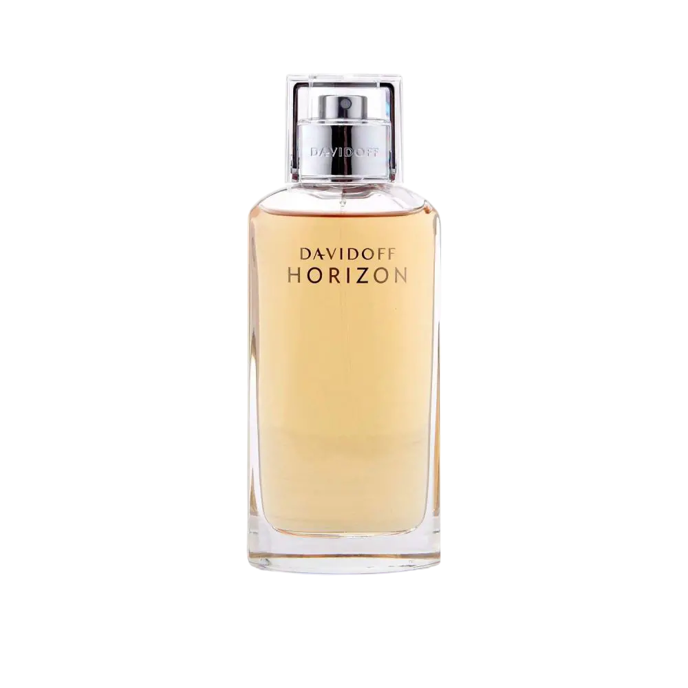 Davidoff Horizon Eau de Toilette 125ml Spray, 125 ml for Men