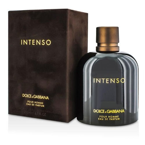 Dolce & Gabbana Intenso Eau de Parfum for Men - Masionstore