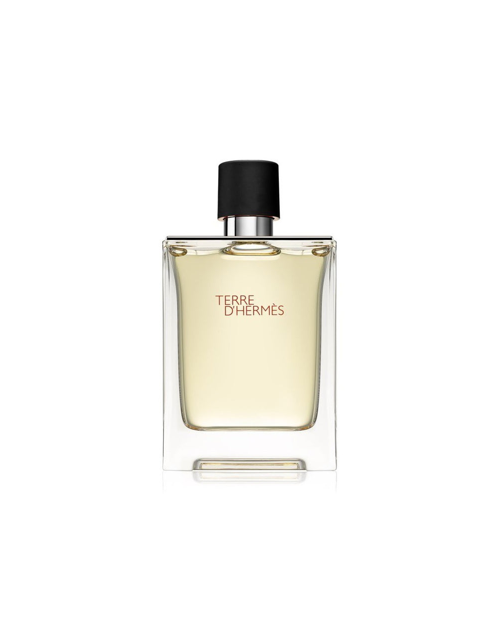 Hermès Terre d'Hermès Eau de Toilette 100ml Spray, 100 ml for Men