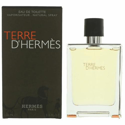 Terre D'Hermes Eau De Toilette Hermes